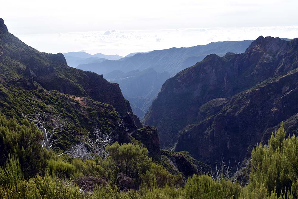 Die 5 schönsten Wanderungen auf Madeira