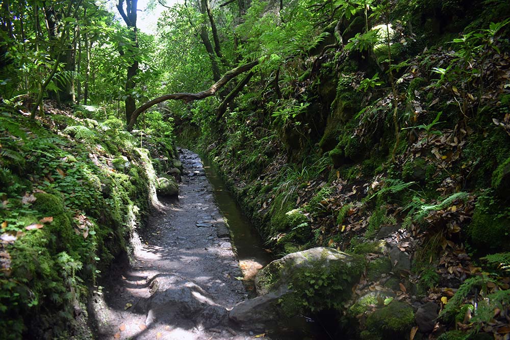 Wandern auf Madeira