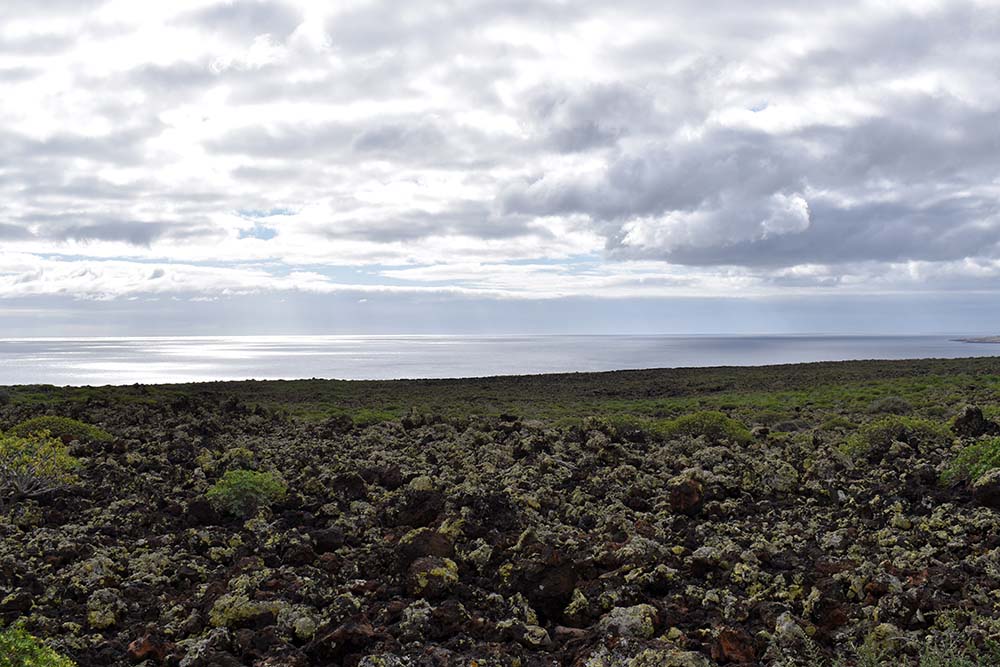 Ein Tag auf Lanzarote