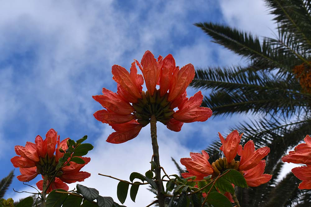 Ein Tag auf Lanzarote