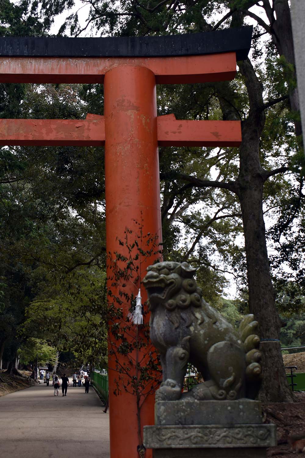 Ein Tag in Nara, Japan