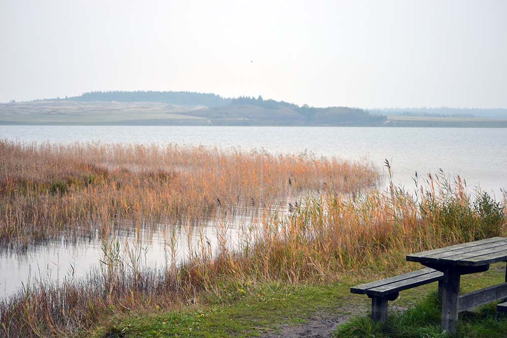 Nationalpark Thy, Dänemark Roadtrip