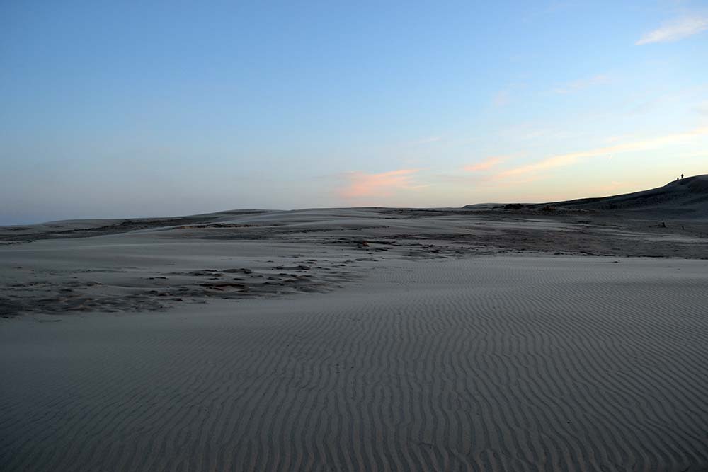 Råbjerg Mile, Dänemark Roadtrip