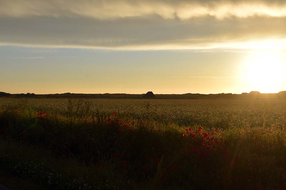 Ein Wochenende auf Texel | Reisetagebuch
