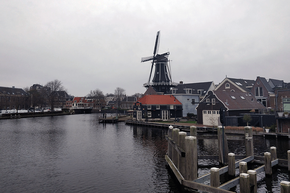 Reisetagebuch: Ein Tag in Haarlem | Niederlande