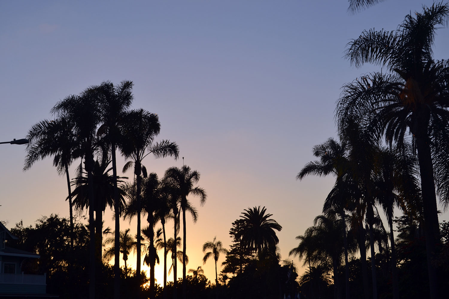 Reisetagebuch: San Diego | USA Roadtrip